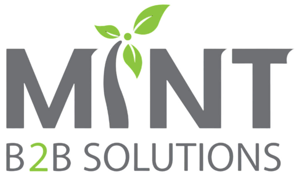 Mint B2B Solutions